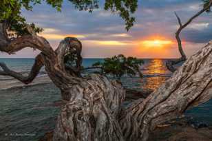 Sunset at Treasure Beach-6979.jpg